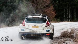 04122009-hirvonen-ford-fiesta-2009_0544  